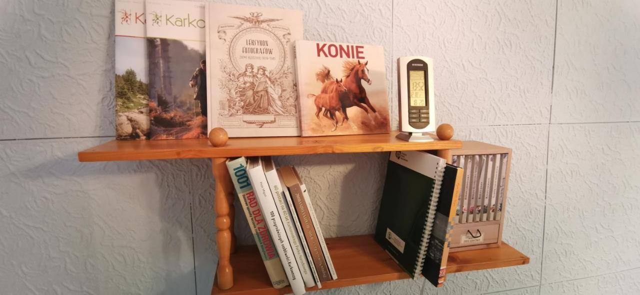 Apartament Milka W Dusznikach Zdroju Duszniki Zdrój Eksteriør billede