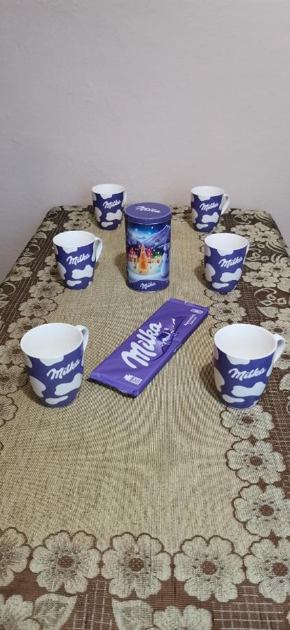 Apartament Milka W Dusznikach Zdroju Duszniki Zdrój Eksteriør billede