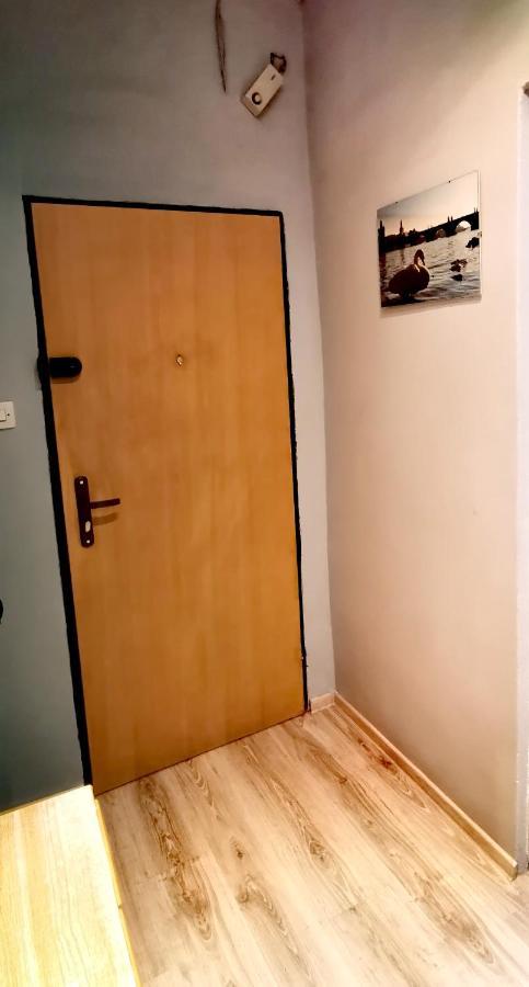 Apartament Milka W Dusznikach Zdroju Duszniki Zdrój Eksteriør billede