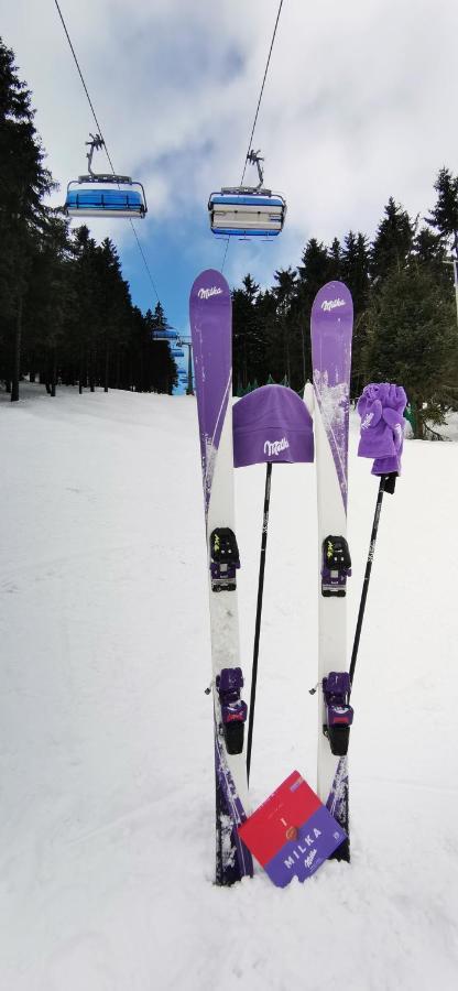 Apartament Milka W Dusznikach Zdroju Duszniki Zdrój Eksteriør billede