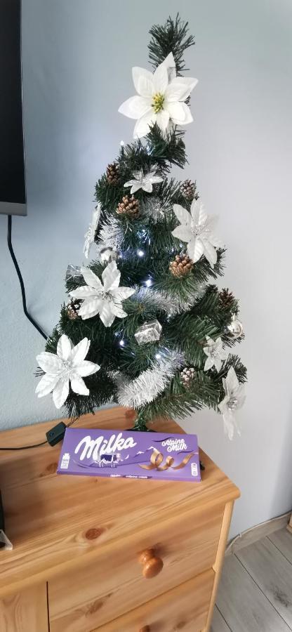 Apartament Milka W Dusznikach Zdroju Duszniki Zdrój Eksteriør billede